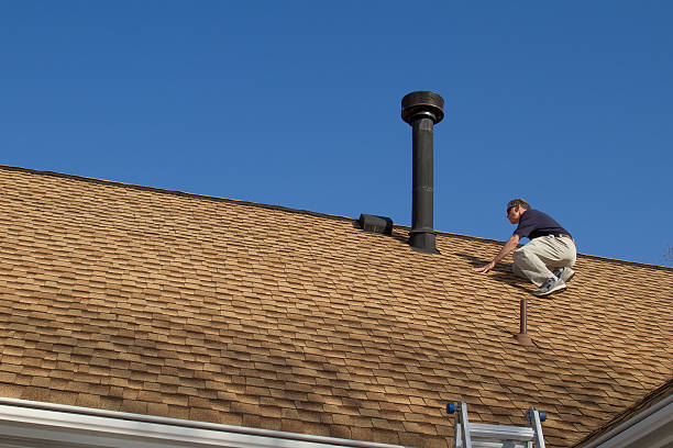 Best Asphalt Shingle Roofing  in Capron, IL